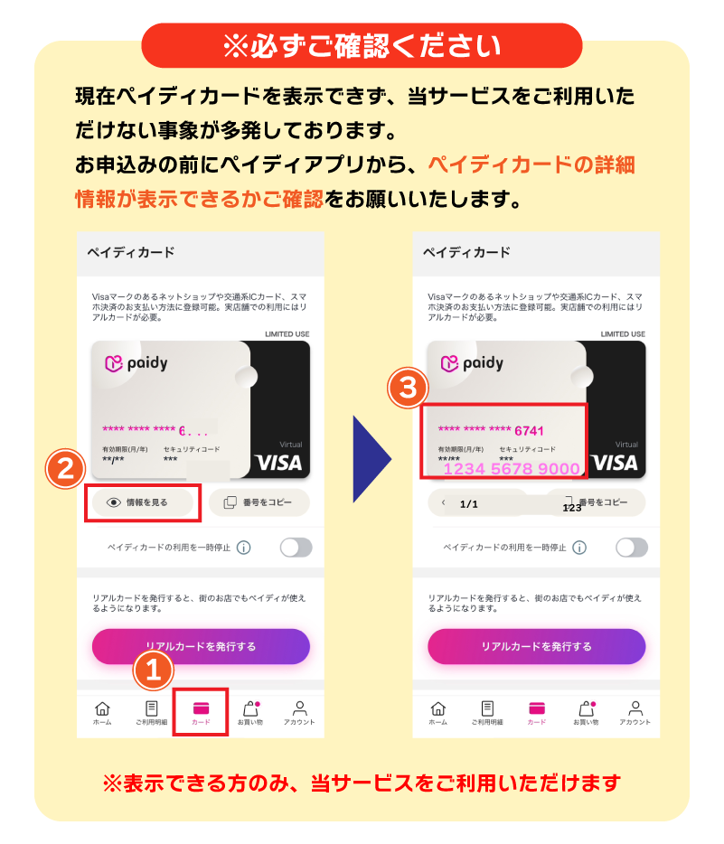 ペイディプラス
